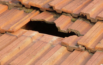 roof repair Lupton, Cumbria